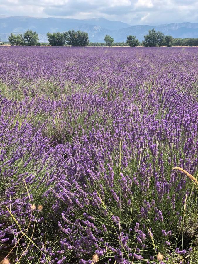Maison De Village En Provence Baudinard Ngoại thất bức ảnh